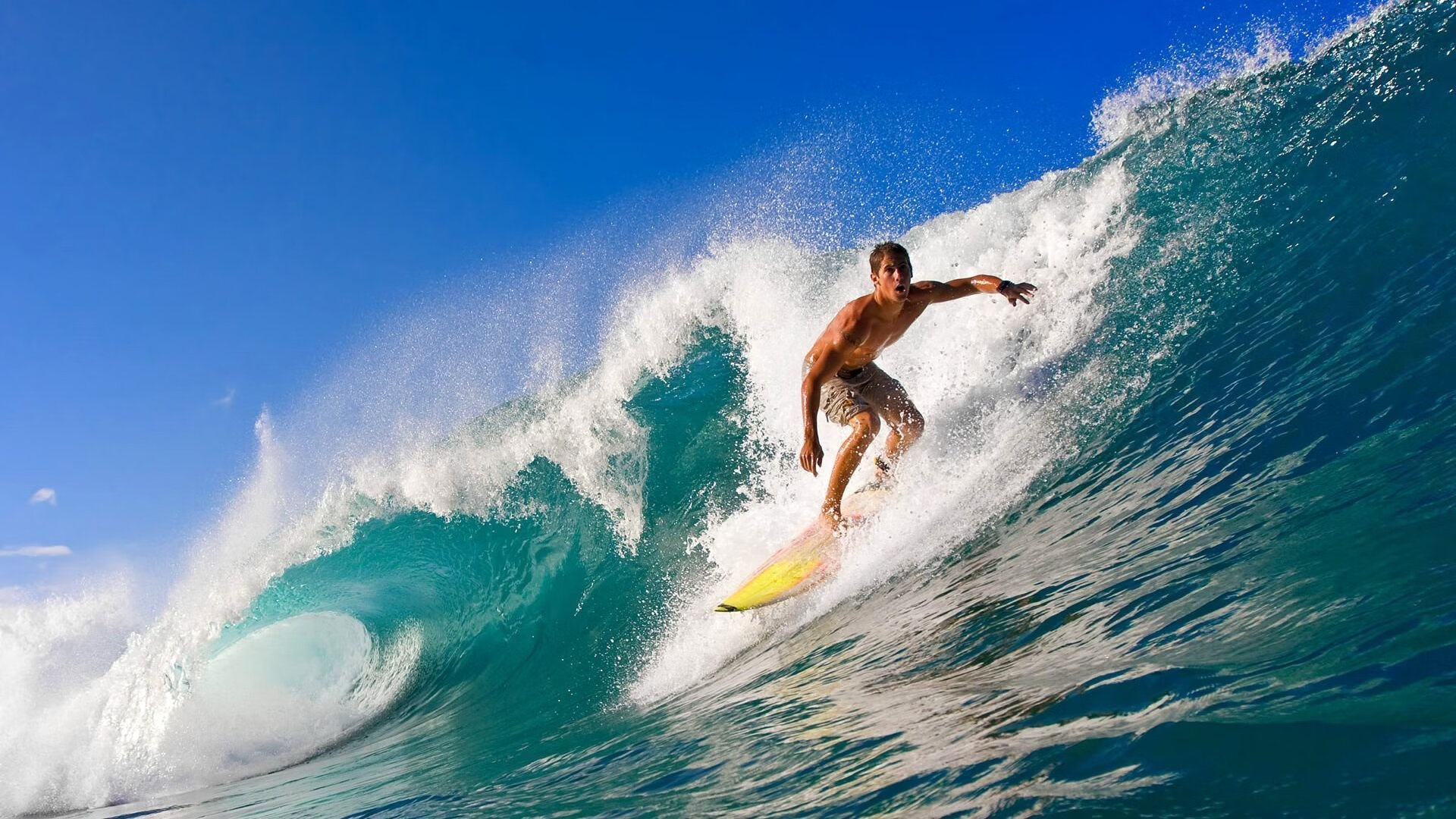 厄瓜多尔排球队在南美比赛中表现出色，厄瓜多尔拿了什么金牌