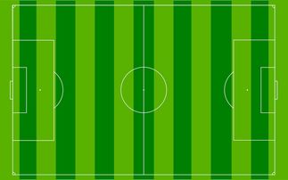 华体会登入-国足主场比赛战术布置与得分模型关联，国足阵容战术